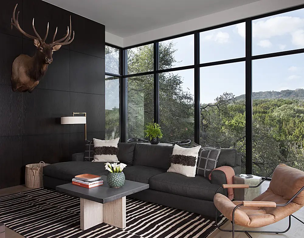 0_proc_EWDAustin_Desert-Flower-Media-Room